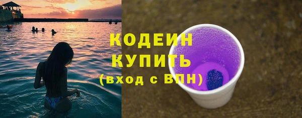 молекула духа Богданович