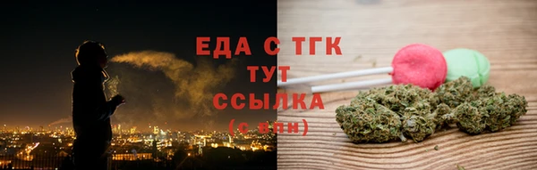 молекула духа Богданович