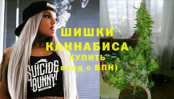прущая мука Богородск
