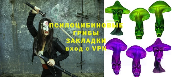синтетический гашиш Богородицк