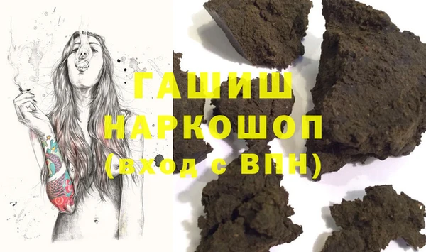 молекула духа Богданович