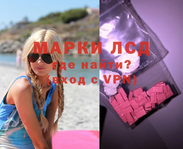 молекула духа Богданович