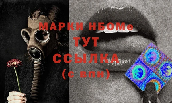 молекула духа Богданович